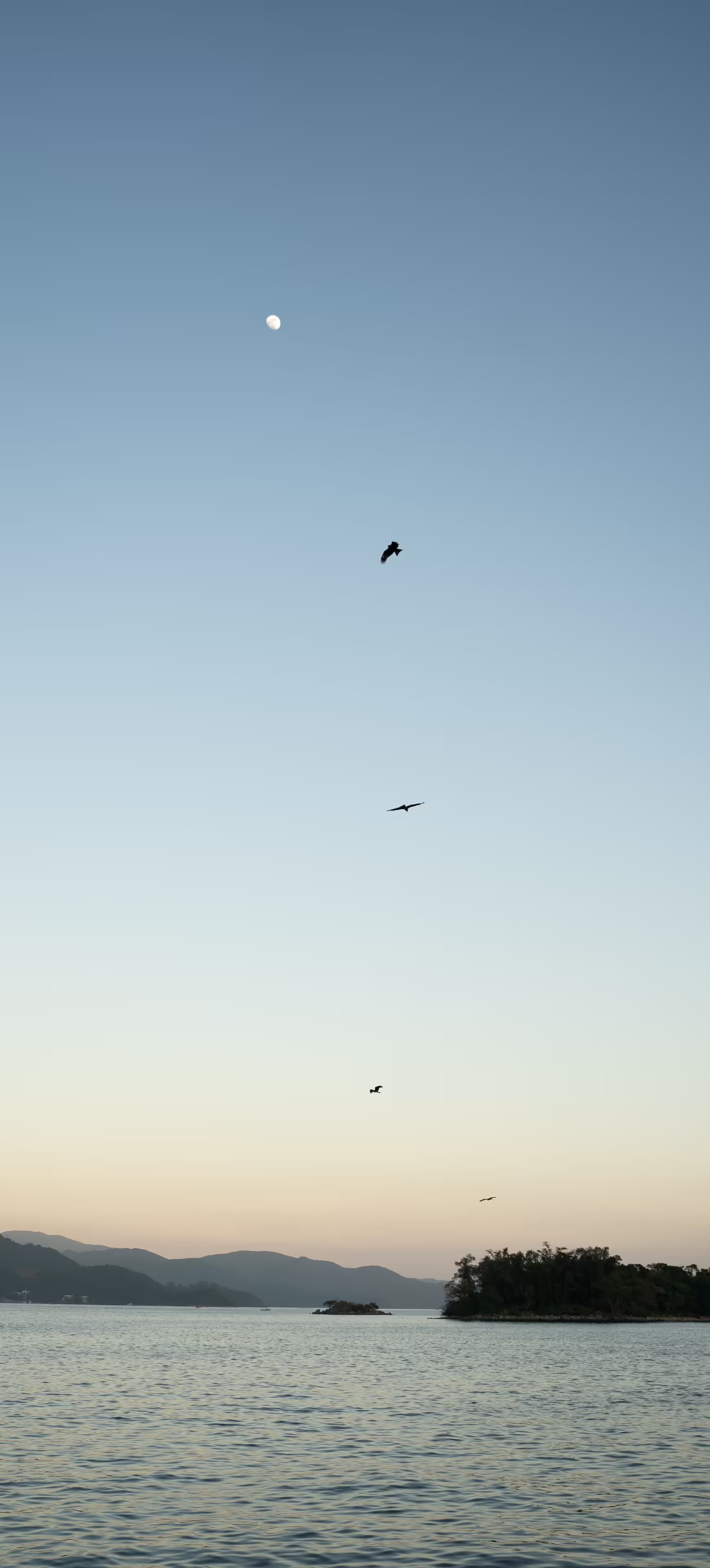 DSC06950_zxflk4